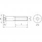 Preview: Zylindersenkkopfschrauben mit Innensechskant ISO 1062 (DIN7991) M3 - M12 verzinkt